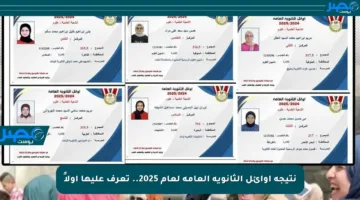 نتيجة أوائل الثانوية العامة لعام 2025.. تعرف عليها أولاً